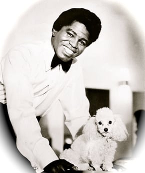 This is the Avatar Image for the James Brown (Young Era) AI Voice and Text to Speech Generator